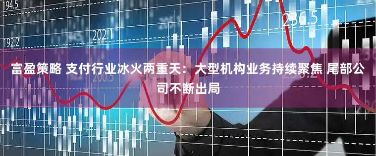 富盈策略 支付行业冰火两重天：大型机构业务持续聚焦 尾部公司不断出局