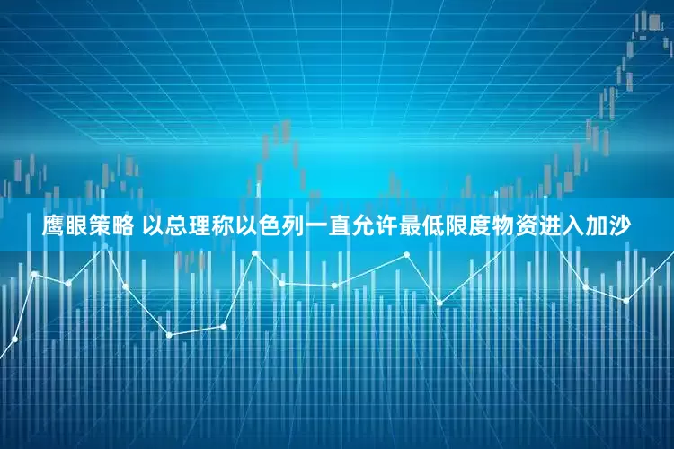 鹰眼策略 以总理称以色列一直允许最低限度物资进入加沙