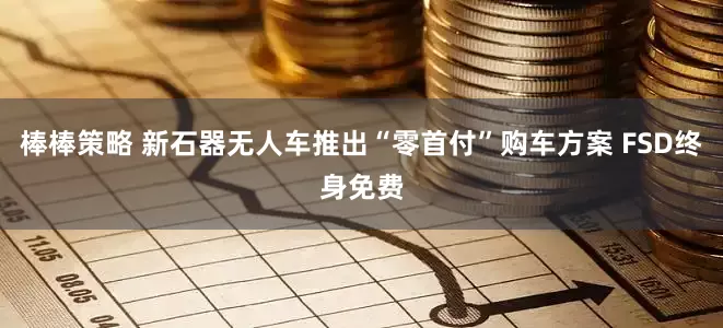 棒棒策略 新石器无人车推出“零首付”购车方案 FSD终身免费
