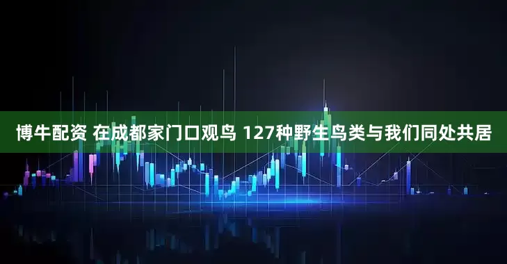博牛配资 在成都家门口观鸟 127种野生鸟类与我们同处共居