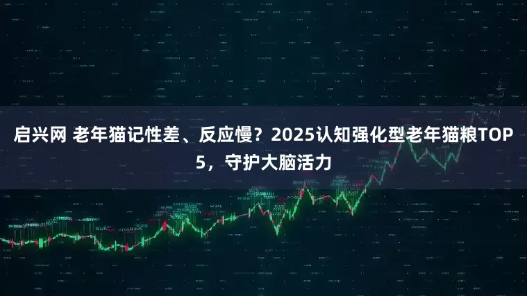 启兴网 老年猫记性差、反应慢？2025认知强化型老年猫粮TOP5，守护大脑活力