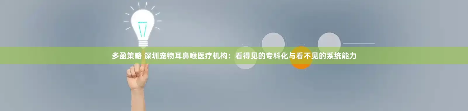 多盈策略 深圳宠物耳鼻喉医疗机构：看得见的专科化与看不见的系统能力
