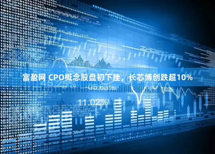 富盈网 CPO概念股盘初下挫，长芯博创跌超10%